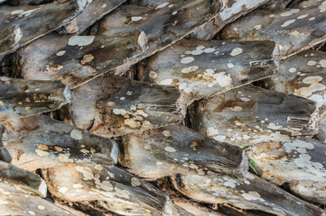 Wood surface old. a background and texture
