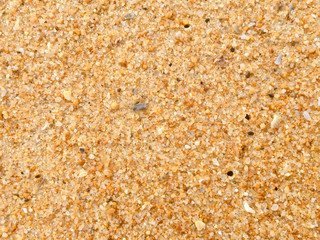 Abstract natural sandy beach closeup, seacoast background. Space surface for text