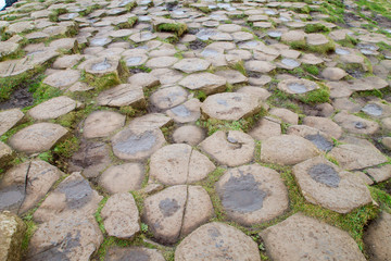 The Giant's Causeway, made up of 40,000 interlocking basalt columns, the result of an ancient...