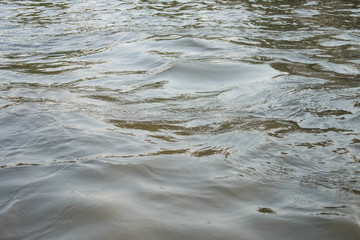 The water in the canal