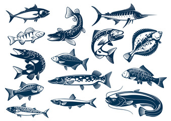Fishes species vector isolated icons
