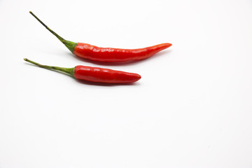 Chili on white background