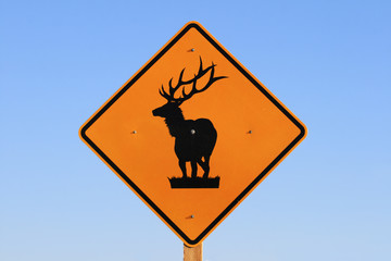 elk road sign