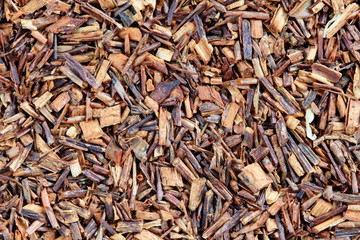 rooibos tea macro