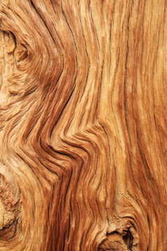 curved wood grain