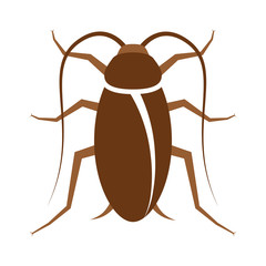 Cockroach pest or roach infestation flat color vector icon for insect apps and websites