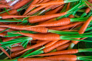 Fresh Baby carrots background nature