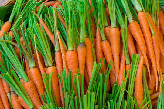 Fresh Baby carrots background nature