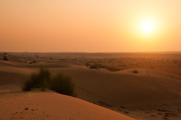 thar desert of rajasthan, india