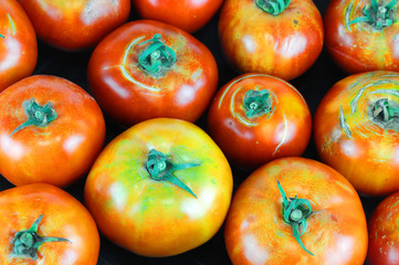 fresh farm picked tomatoes