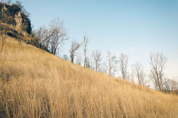 Brown grass on hills with blue sky