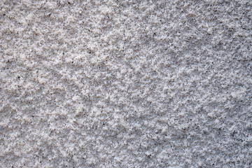 Texture of grey cement plaster