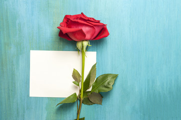 Vibrant red rose and blank postcard for copyspace