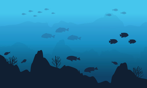 Silhouette Of Fish And Cliff On Underwater