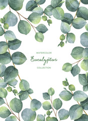 Watercolor green floral card with silver dollar eucalyptus leaves and branches isolated on white background. © ElenaMedvedeva
