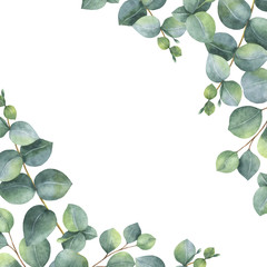 Obraz premium Akwareli zielona kwiecista karta z srebnego dolara eukaliptusa liśćmi i gałąź odizolowywać na białym tle.
