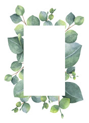 Watercolor green floral card with silver dollar eucalyptus leaves and branches isolated on white...