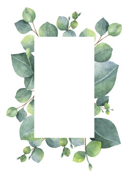 Watercolor green floral card with silver dollar eucalyptus leaves and branches isolated on white background.