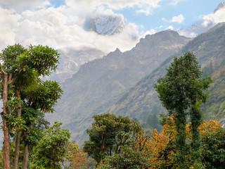 Mountain peak partly in clouds with trees in the foreground