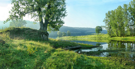 Quiet backwater of river on the background of forest slope.