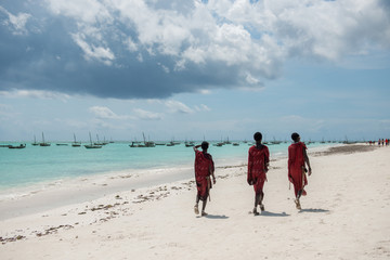 resting cows and walking people on Zanzibar beach