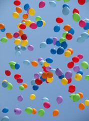 Multi colored balloons on a blue sky