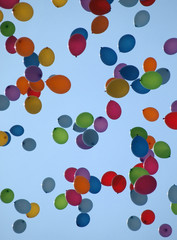 Multi colored balloons on a blue sky