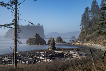 Pacific coastline at Ruby Beach, Olympic National Park, WA