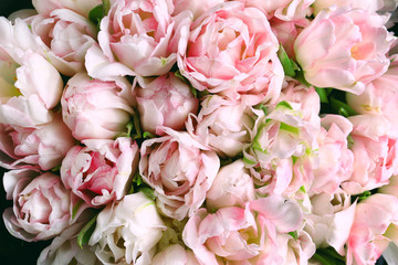 Beautiful pink  tulips. Spring flowers. Flowers background