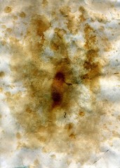 Tea Stains on the Paper