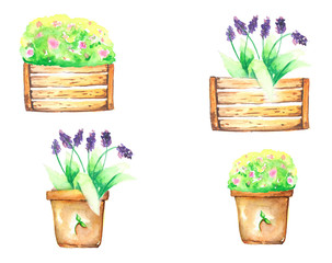 Plant in Pot Watercolor