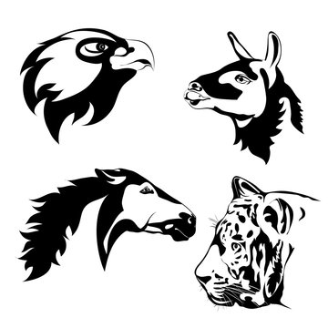Black and white animals. Vector tattoo. Animals head. Lama, eagle, horse, tiger