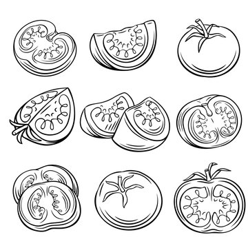 Hand Drawn Tomato Set.