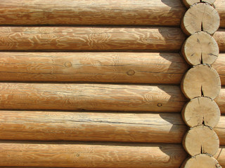 Log house wall