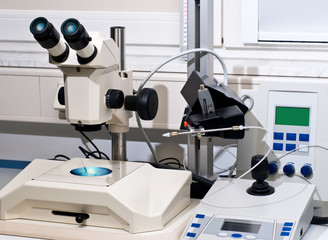 Modern system for making transgenic animals