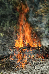 The dying bonfire with upward flame and ashes
