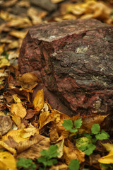 Red stone lying on the ground, laid by autumn leaves