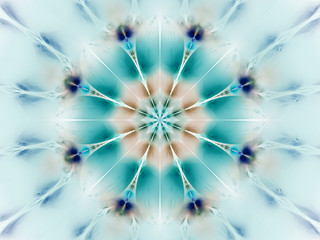 Obrazy na Szkle  Egzotyczny kwiat w kolorach niebieskim i brązowym. Streszczenie mandali. Sztuka fraktalna fantasy. Renderowanie 3D.