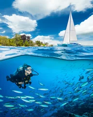 Foto op Plexiglas Young woman diving and exploring reef © Jag_cz