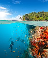 Deurstickers Duiken Groep duikers die koraalrif onderzoeken