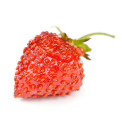 Wild Strawberry Isolated on White Background