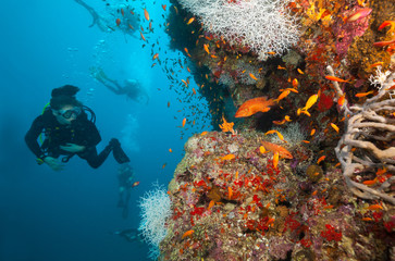 Fototapeta na wymiar Woman scuba diver exploring sea bottom
