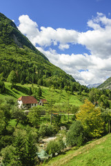 Fototapeta na wymiar Naturidylle in den slowenischen Alpen
