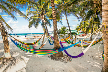 Obraz na płótnie Canvas Hammocks between palm trees on sandy beach in Caye Caulker island, Belize.