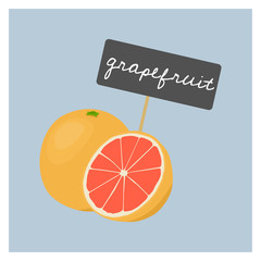 Vector Fruit - Grapefruit - 137758397