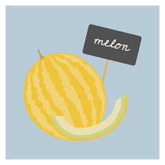 Vector Fruit - Melon