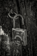 Old padlock hanging on the rotting jamb