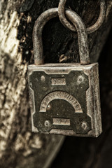 Old padlock hanging on the rotting jamb
