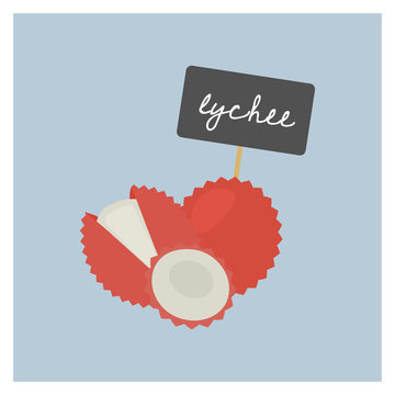 Vector Fruit - Lychee