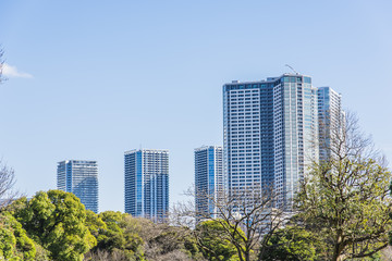 Fototapeta premium 東京の高層マンション